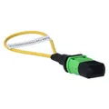 BlueLAN BlueOptics Loopback Adapter MPO/MTP Singlemode SM (BOLBMPSM)