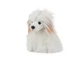 Teddys Rothenburg Kuscheltier Chinesischer Hund sitzend weiß 30 cm Plüschhund