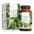 NATURTREU® Vitamin Kapseln Vegan - 120 Kapseln für Veganer und Vegetarier - Daily Vitamins mit B12, Eisen, Zink, Calcium, Magnesium & Vitamin A - Vegan Multivitamin