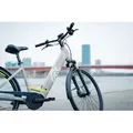 Husqvarna E-Bike Towner 2 Wave 28"xL 9S Tektro City Fahrrad Bosch Grau 49cm - Grau