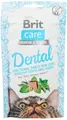 VAFO PRAHA s.r.o. Brete Care Cat Snack 50g Dental / 12