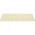 Bettlattenrost Ersatz Mit 24 Latten 100x200 Cm Vidaxl