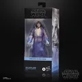 Star Wars | The Black Series | Obi Wan Kenobi | Qui-Gon Jinn (Force Spirit)
