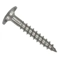 Twistec Fassadenschraube TWISTEC Trespo-Fassadenschrauben 4,8x60mm Edelstahl A2 TX20 100 Stück, Edelstahl A2, hohe UV-Beständigkeit silberfarben 4,8x60mm