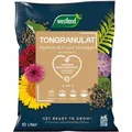Westland Tongranulat Blähton 10,