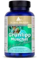 Grünlippmuschel Dr. med. Michalzik - ohne Zusatzstoffe - von BIOTIKON®