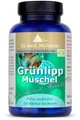 Grünlipp nach Dr. med. Michalzik-555mg Perna canaliculus je Kapsel-von BIOTIKON®