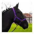 Pferdelinis Halfter Halfter für Pferde 2-Fach verstellbar an Kinnriemen und Genickstück, zweifach verstellbar lila Pony