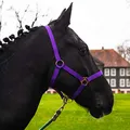 Pferdelinis Halfter für Pferd Warmblut, Vollblut, Kaltblut – Stallhalfter, Weidehalfter, 2 Fach verstellbar an Kinnriemen und Genickstück, sicher & reißfest (Lila, Pony)