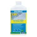 Gloria Haus und Garten 001130.0000 Stein Spezial-Reiniger - 1 l Steinreiniger Ko (001130.0000)