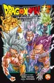 Dragon Ball Super Band 24 Carlsen Manga