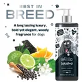Bugalugs bestes Pflegeshampoo mit Aktivkohle Zitrusfrüchte Duft Premium