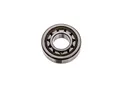 SKF Radialrollenlager NJ 204 ECP/C3