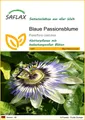 SAFLAX Blumensamen SAFLAX - Samen - Blaue Passionsblume