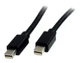 StarTech.com 2 m Mini DisplayPort Kabel 4K x 2K Ultra HD Video DP 1.2(Stecke ~D~