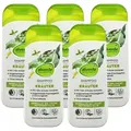 dm-drogerie markt GmbH & Co. KG Haarshampoo 7 Bio-Kräuter - alverde Naturkosmetik 5 x 200 ml, alverde Naturkosmetik, Haarshampoo