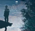 BRANDIS,ZSCHORTAU BACH ORGAN LANDSCAPES:ARNSTADT - HALUBEK,JÖRG  2 CD NEU