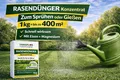 Rasendünger Konzentrat zum Gießen oder Sprühen – 400 m² – mit Eisen