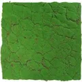 Jangal Wandpaneel Modular Wall Forest Green Design Moos 52 x 52 cm
