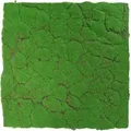 Jangal - Modular Wall Akustik 3d Paneele 520 X 520 Mm Forest Green Design Moos Kunst Pflanzwand Moospaneele