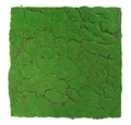 JANGAL 3D Wandpaneel Modular Wall Akustikpaneel, Die Holz- und Steinoberflächen sind aus Echtholz- und Echtsteinfurnier