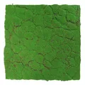JANGAL Modular Wall Pflanzenwand  520 x 520 mm Design Moos Forest Green Moos