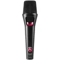 Austrian Audio OD505 - Vokalmikrofon