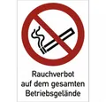 König Werbeanlagen Hinweisschild Rauchverbot auf dem gesamten Betriebsgelände, Kombischild, ISO 7010