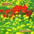 Boast - Modave