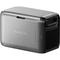 EcoFlow Glacier Classic 45L ohne Akku (45 l) (EFGLACIER45L-EU-NBOX)