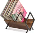 PUERSI Schallplatten Aufbewahrung, 80 LPs Schallplattenständer, 1 Etage Vinyl