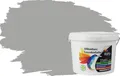 RyFo Colors Silikonharz Fassadenfarbe Lotuseffekt Trend Mausgrau 3l - bunte Fassadenfarbe, weitere Grau Farbtöne und Größen erhältlich, Deckkraft Klasse 1