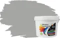 RyFo Colors Silikonharz Fassadenfarbe Lotuseffekt Trend Mausgrau 3l - bunte Fassadenfarbe, weitere Grau Farbtöne und Größen erhältlich, Deckkraft Klasse 1