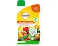 Solabiol Pflanzen-Pilzfrei Solabiol Grundstoff Urtica Konzentrat 1 l