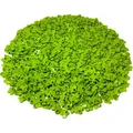 LEGO 1x1 Blume Limette - Classic, Basic, City - Lime Flowers 32607 NEU! Menge 500x (32607) (32607)