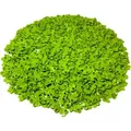 LEGO® 1x1 Blume mit drei Blättern Limette - 32607 NEU! Menge 500x - Grün