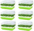 KAHEIGN 6Pcs Keimschalen für Sprossen, Seed Sprouter Tray 32cm x 26cm Keimschale Sprossen mit Deckel für große Samen Keimung Tablett Keimbox für Anzucht von Mungbohnen Alfalfa Weizengras