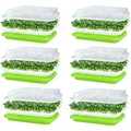 Germination Tray Set Sprouts Microgreens Anzuchtbox Saatband Baumwolltuch