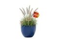 Teramico Pflanzkübel Keramik Pflanzgefäß Eggpot, Royal Blau, Ø 38 cm, Steinzeug handgeferti, 100% Frostfest