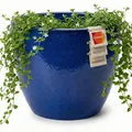 Keramik Blumentopf Eggpot Royal Blau Ø 38cm - Frostfest Pflanzkübel Glasiert Run