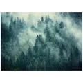 Wallarena Fototapete, Mehrfarbig, Papier, Baum/Pflanze/Natur, Rechteckig, 350x250 cm, FSC 100%, Tapeten & Wandverkleidungen, Fototapeten