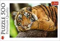 Trefl 916 37397 EA 500pcs Tiger, Multicoloured, Tigerporträt