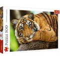 Puzzle 500 elementów. Portret tygrysa
