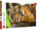 Puzzle 500 Porträt eines Tigers 37397