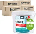 16x5 kg BAYZID® Chlorgranulat für Pools mit Aktivchlor zur Poolwasser Desinfektion