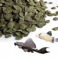 TD Stones Algen Wafers 1kg – Sinkende Spirulina Tabletten für Bodenfische wie Welse, Panzerwelse & Algenfresser – Premium Hauptfutter für Immunsystem & Verdauung – Hydrostabile Waffeln für Süßwasser