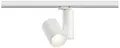 Paulmann ProRail3 Zeuz 33W 15° 3000K W triac Systemleuchte (Basis) ProRail3 Weiß