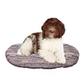 FERPLAST - Cuccia per cani e gatti - Cuscino per cani di medie dimensioni - Materassino per cani - Tappetino per cucce e auto - Morbido letto per cani - Relax, 78 x 50 CM, MARRONE