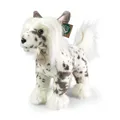 Rappa - 230798 - Chinesischer Schopfhund, Plüsch, 25cm x 25cm x 11cm, Handwäsche, ECO-Friendly