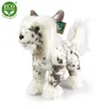 Chinesischer Schopfhund H=26 cm HUND Plüschtier Stofftier Kuscheltier Plüsch